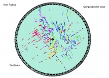 Vinyl Radical: Bird Strike, for voice